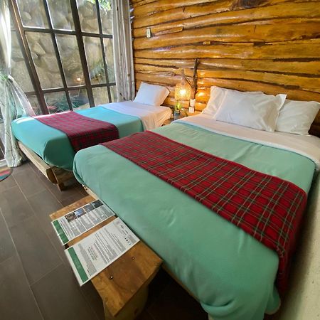 Eco Quechua Lodge Santa Teresa  Exterior photo