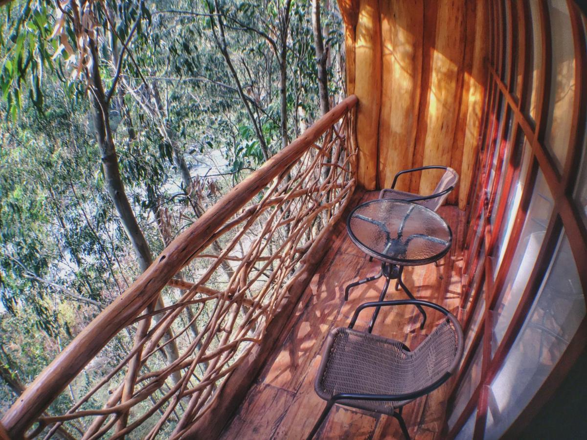 Eco Quechua Lodge Santa Teresa  Exterior photo