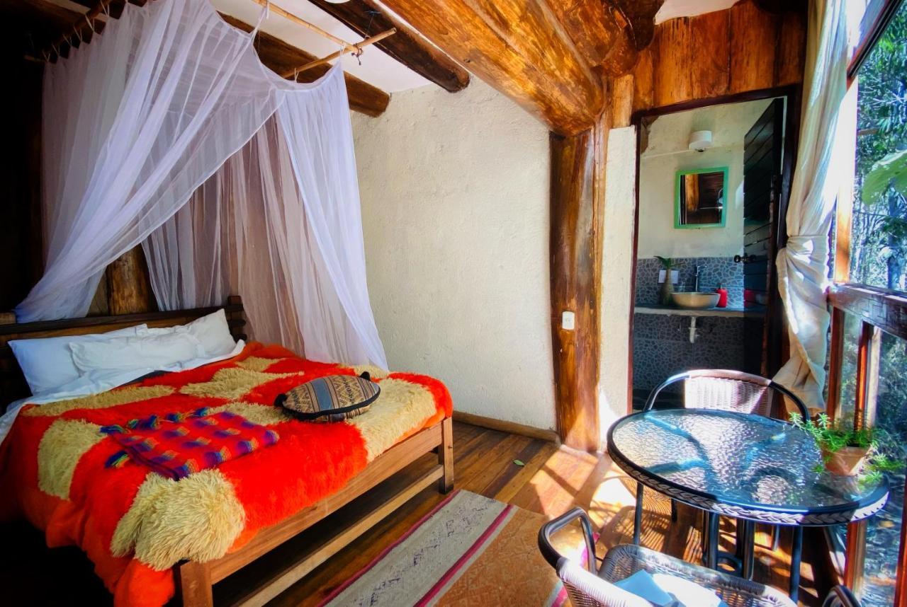Eco Quechua Lodge Santa Teresa  Exterior photo